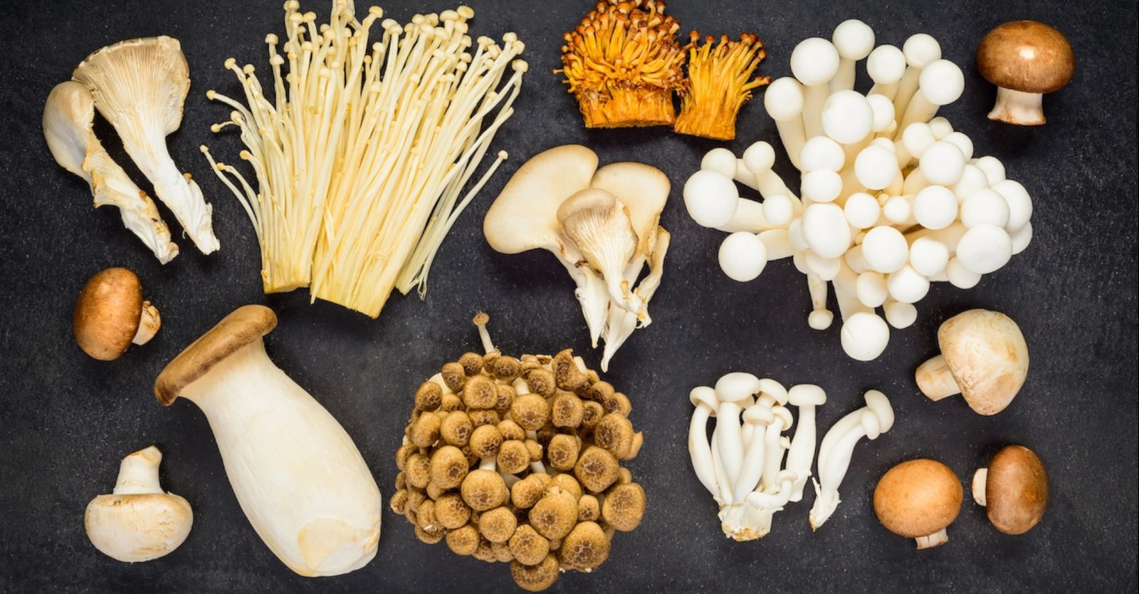 How Mushrooms Can Support Your Weight Loss Goals