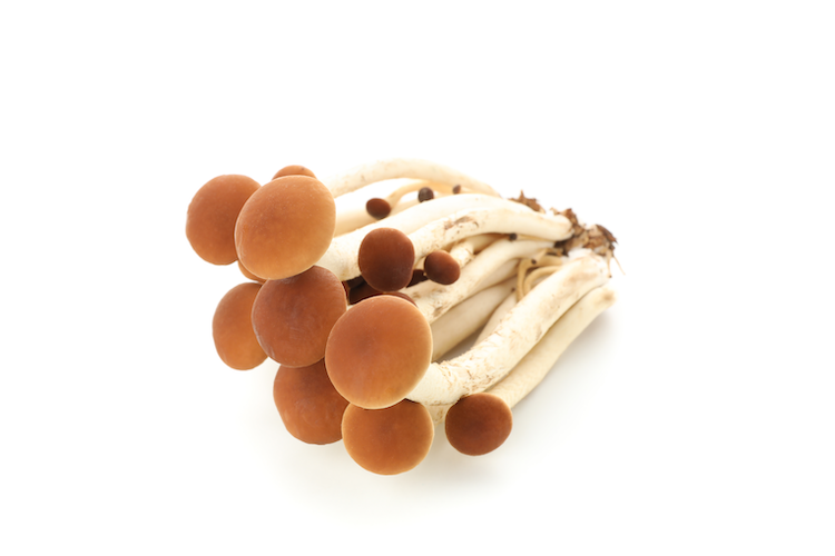 Pioppino - Wholesale PriceOne Pound