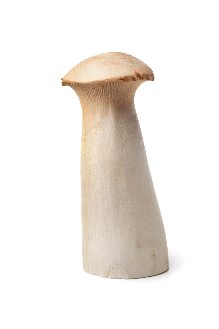 King Oyster - Wholesale PriceOne Pound