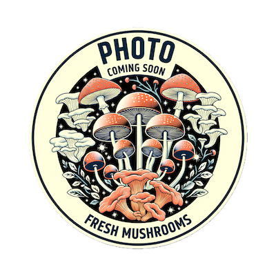 Blewit - Wholesale PriceOn-Time Purchase One Pound